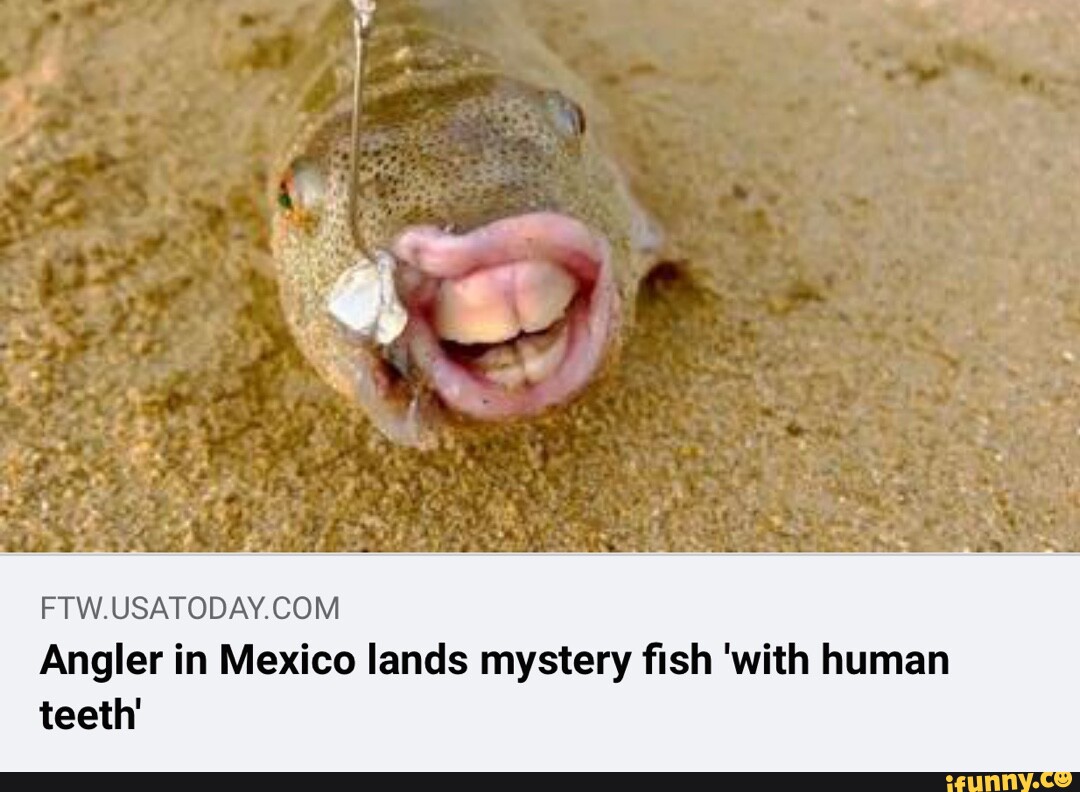 Un pescador en México consigue un pez misteriosoUn pescador en México consigue un pez misterioso  