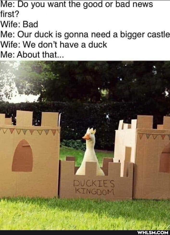 Me: Do you want the good or bad news
first?
Wife: Bad
Me: Our duck is gonna need a bigger castle
Wife: We don't have a duck
Me: About that...