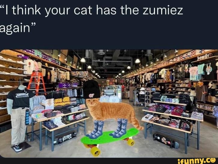 Think your cat has the zumiez again" iFunny
