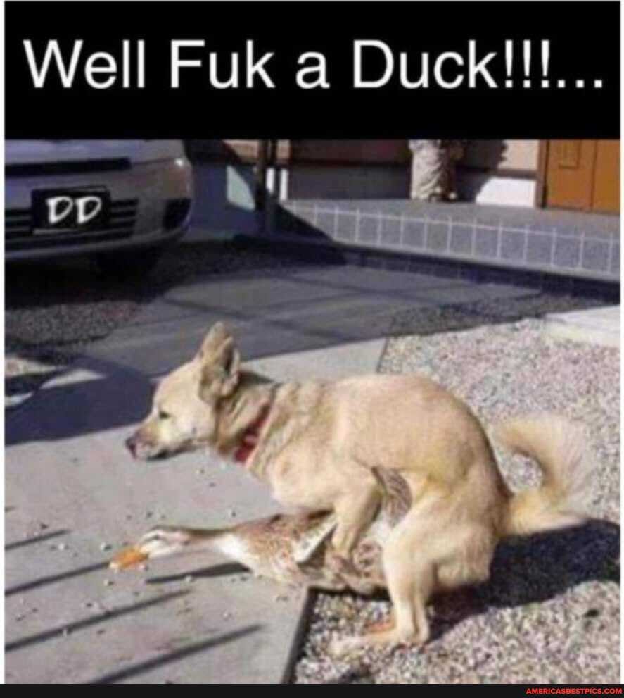 Well Fuk a Duck!!!