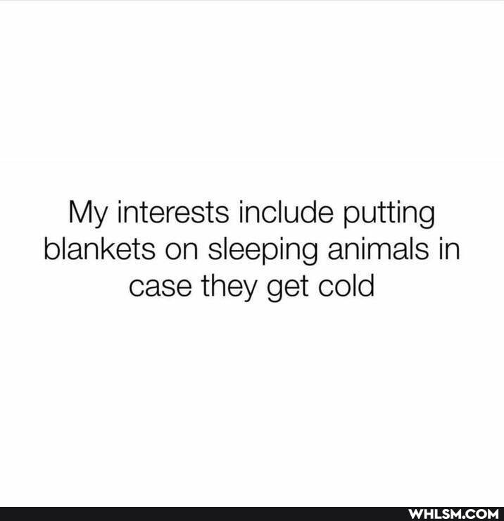 My interests include putting blankets on sleeping animals in case they get cold