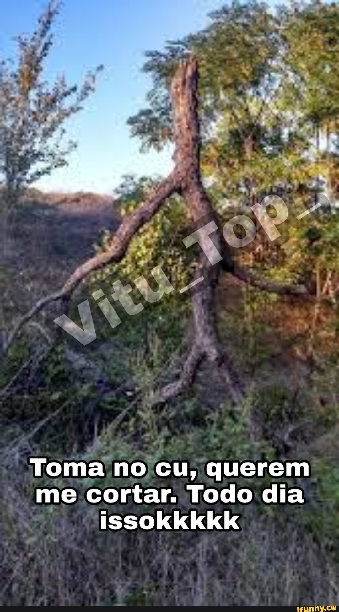 Toma no) ny
querem
ISSO
te
me cortar. Todo dia
E