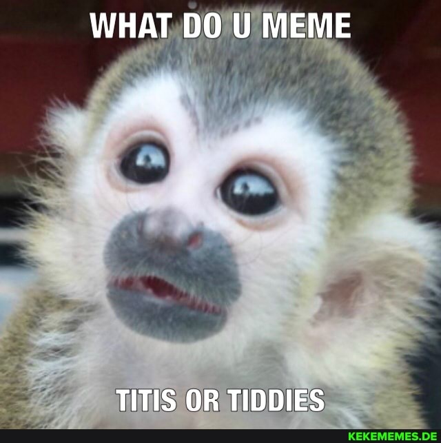 WHAT DO U MEME
TITIS OR TIDDIES