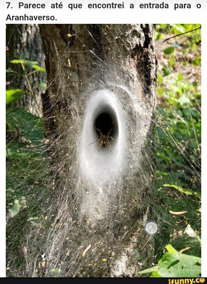 7. Parece até que encontrei a entrada para o
Aranhaverso.