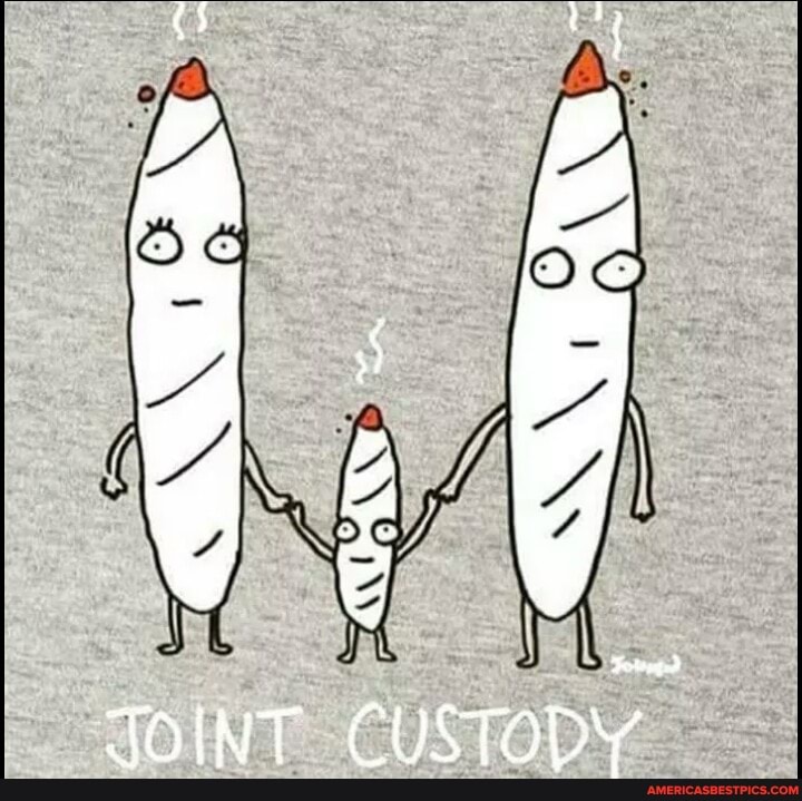 JOINT CUSTODY