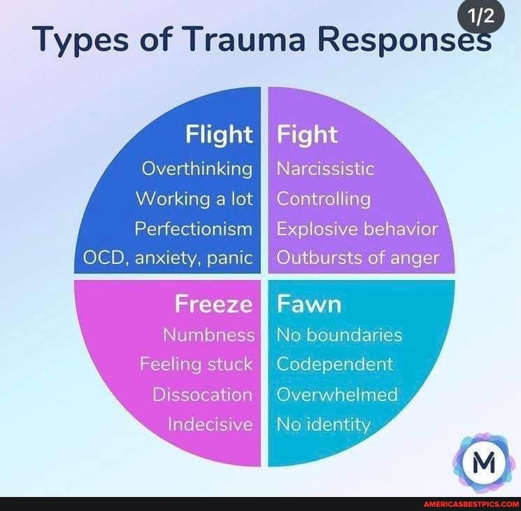 Types of Trauma Response Flight Overthinking Working a lot ...