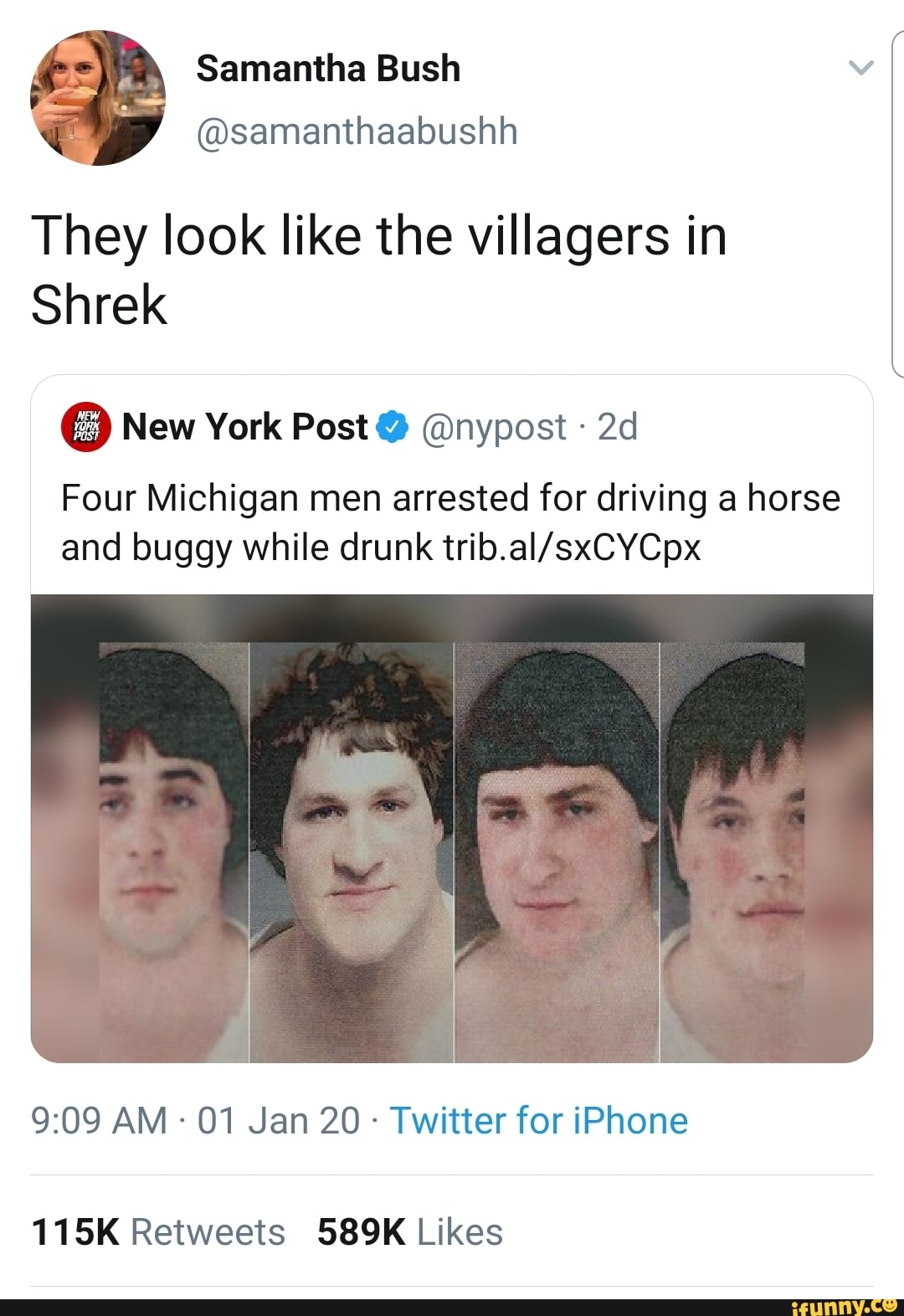 They look like the villagers in Shrek Four Michigan men arrested for ...