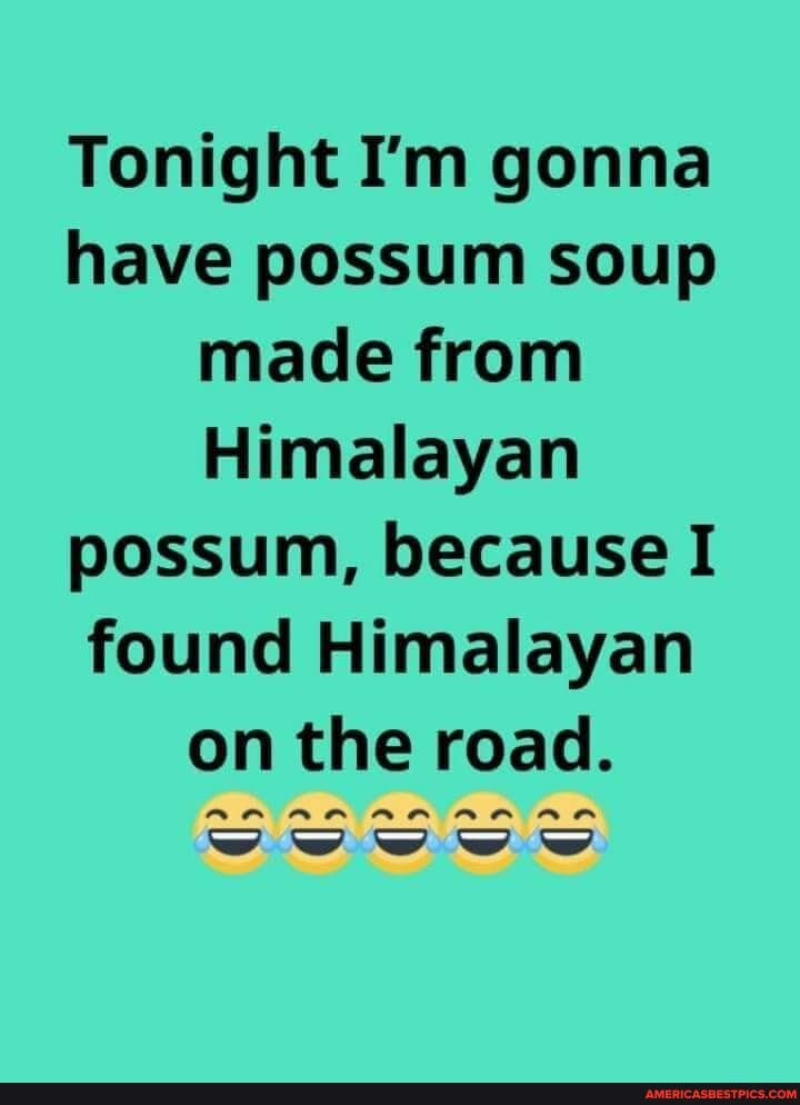 Tonight I'm gonna have possum soup made from
Himalayan possum, because I found Himalayan on the road.
AR NR RR
AA
ww ww