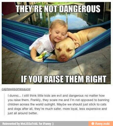 dunno... I stil think little kids are evil and dangerous no matter how
you raise them. Frankly, they scare me and I'm not opposed to banning
ren ao id outright. May ould
just
stick t
and dogs after al, they're much safer, more loyal, less expensive and
just all around bel
