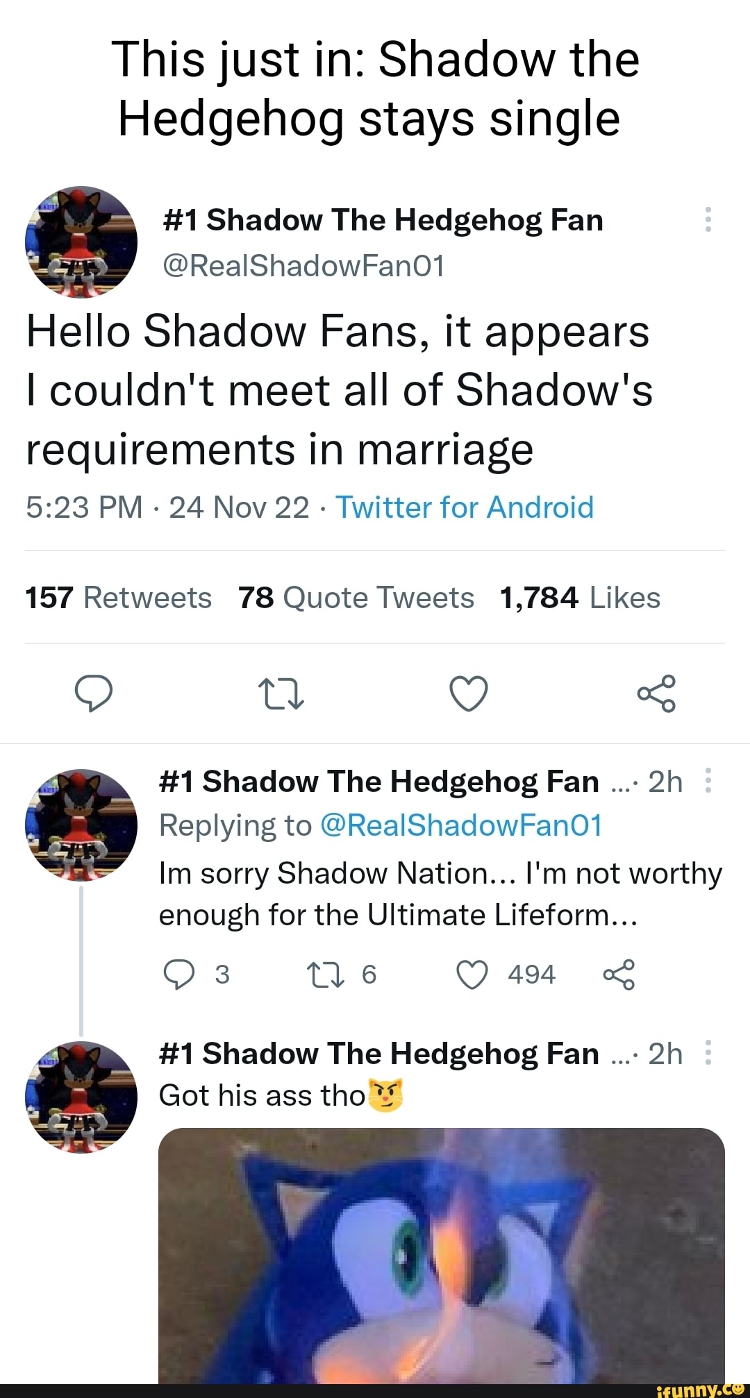 Shadow the Hedgehog #1 Fans