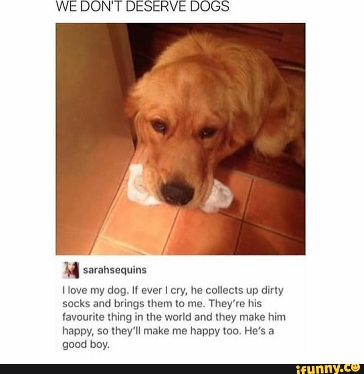 We Don'T Deserve Dogs Sarahsequins Love My Dog. If Ever Cry, He Collects Up  Dirty