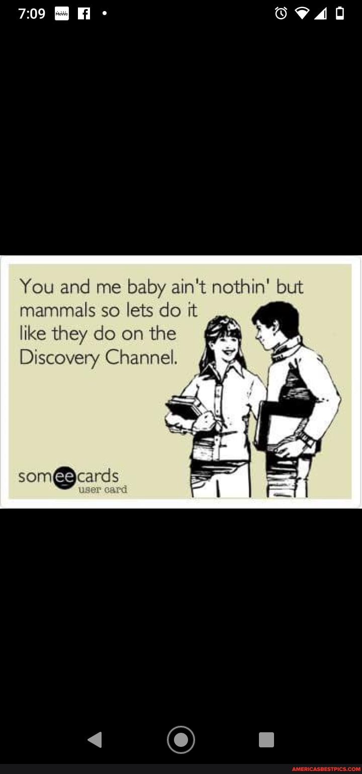 You and me baby ain't nothin' but mammals so lets do it
like they do on the
Discovery Channel.
som@ Pcards user card