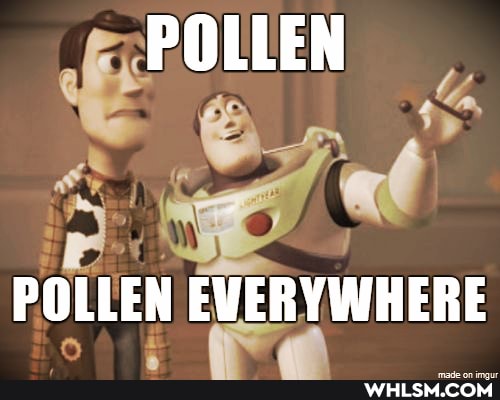 POLLEN
af
POLLEN EVERYWHERE