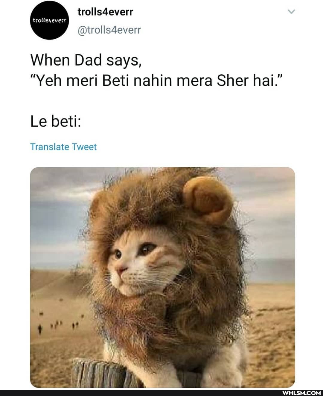 trollsdeverr
tratlayevert
@wolls4everr
When Dad says,
"Yeh meri Beti nahin mera Sher hai."
Le bet:
Translate Tweet