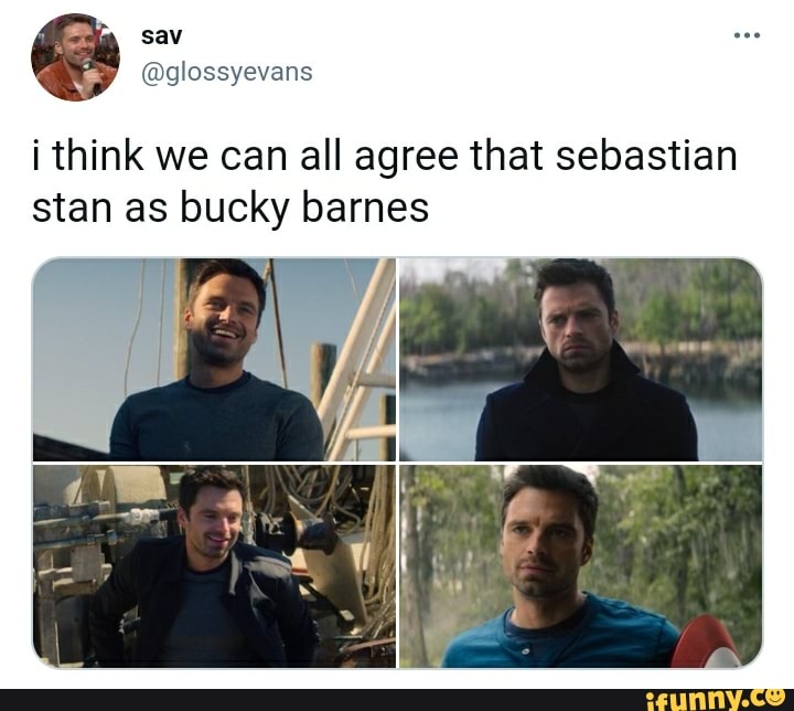 think we can all agree that sebastian stan as bucky barnes