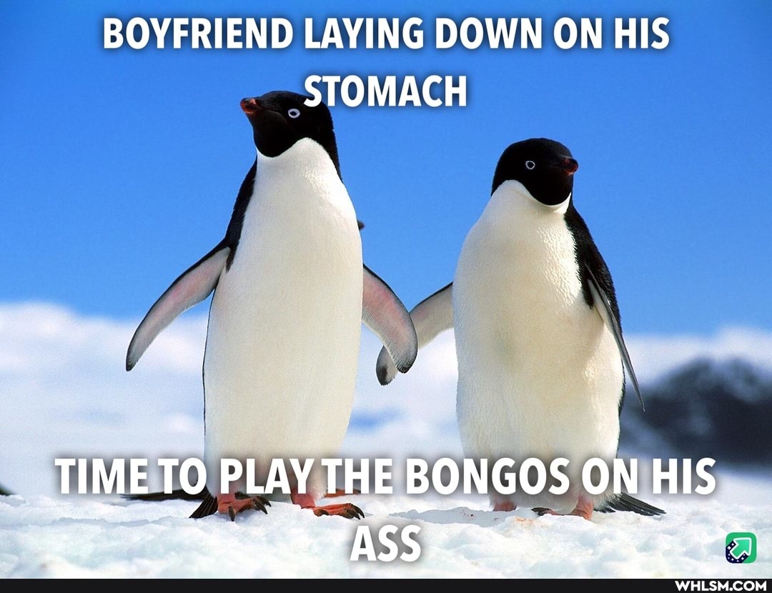 BOYFRIEND LAYING DOWN ON HIS STOMACH
TO PLAY THE E BONGOS ONI HIS
