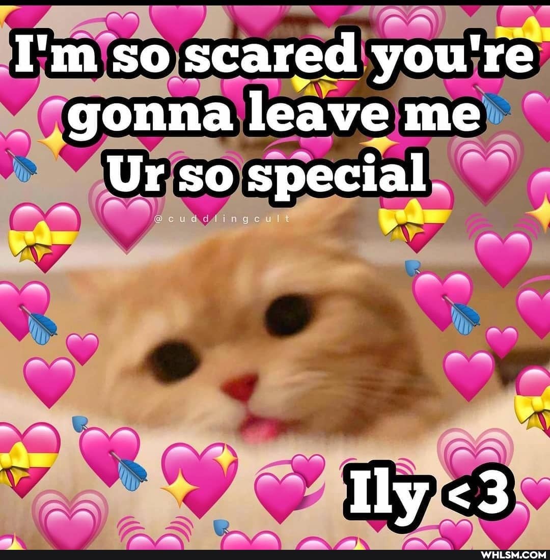 I'm so scared you're gonna leave me
Ur so special.
Ily <3