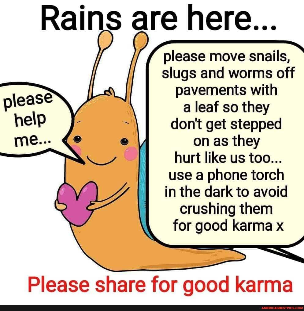 are here...
please move snails, slugs and worms off pavements with a leaf so they don't get stepped on as they hurt like us too...
use a phone torch in the dark to avoid crushing them for good karma x
Please share for good karma