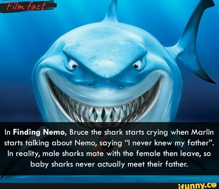 In Finding Nemo, Bruce 1he shark starts crying when Marlin starts ...