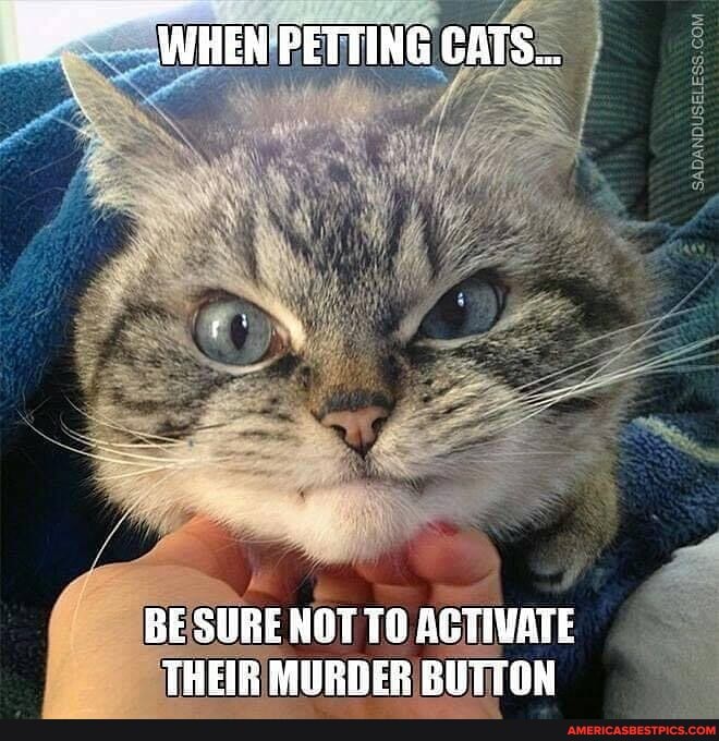 Wuen PETTING cATS...
BE SURE NOT TO ACTIVATE THEIR MURDER BUTTON