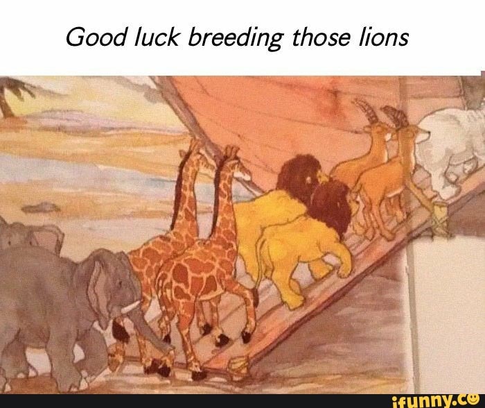 Good luck breeding those lions iFunny