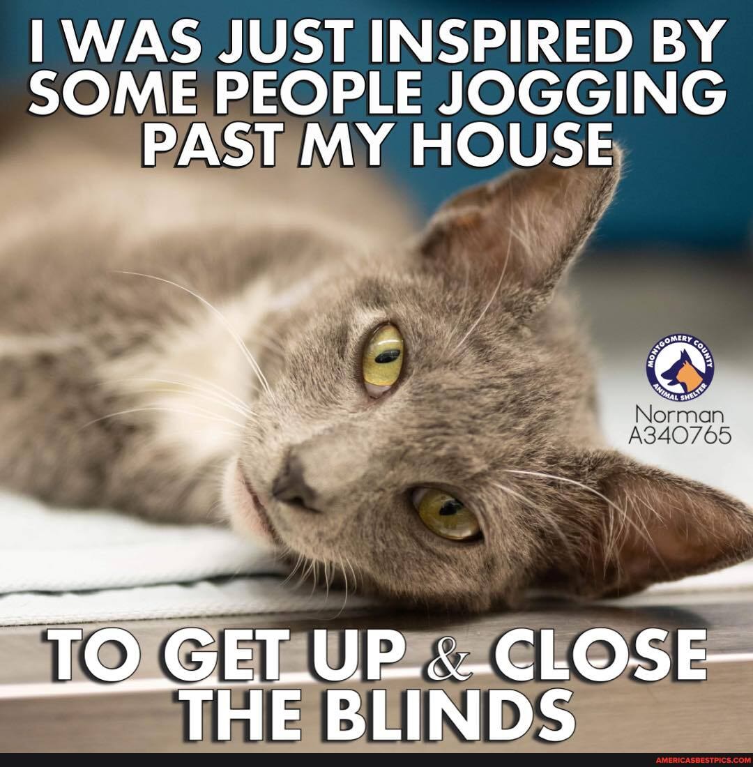 I WAS JUST INSPIRED BY SOME PEOPLE JOGGING PAST MY HOUSE
Norman
GET THE BLINDS