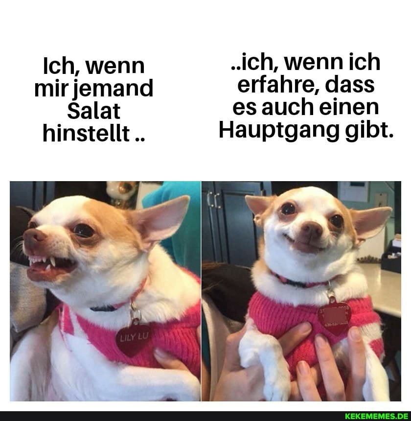 Ich, wenn "ich, wenn ich
mir jemand erfahre, dass
Salat es auch einen hinstellt Hauptgang gibt.