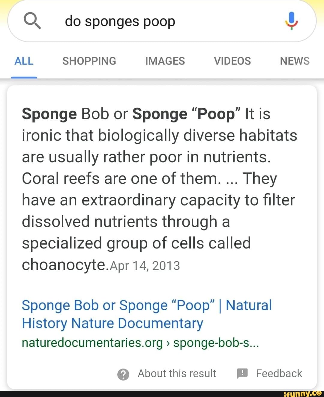 Q do sponges poop .!; Sponge Bob or Sponge "Poop" It is ironic that