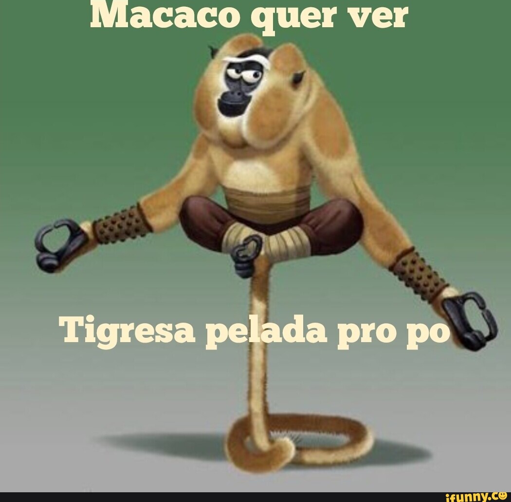 INacaco quer ver Tigresa pelada pro po - iFunny