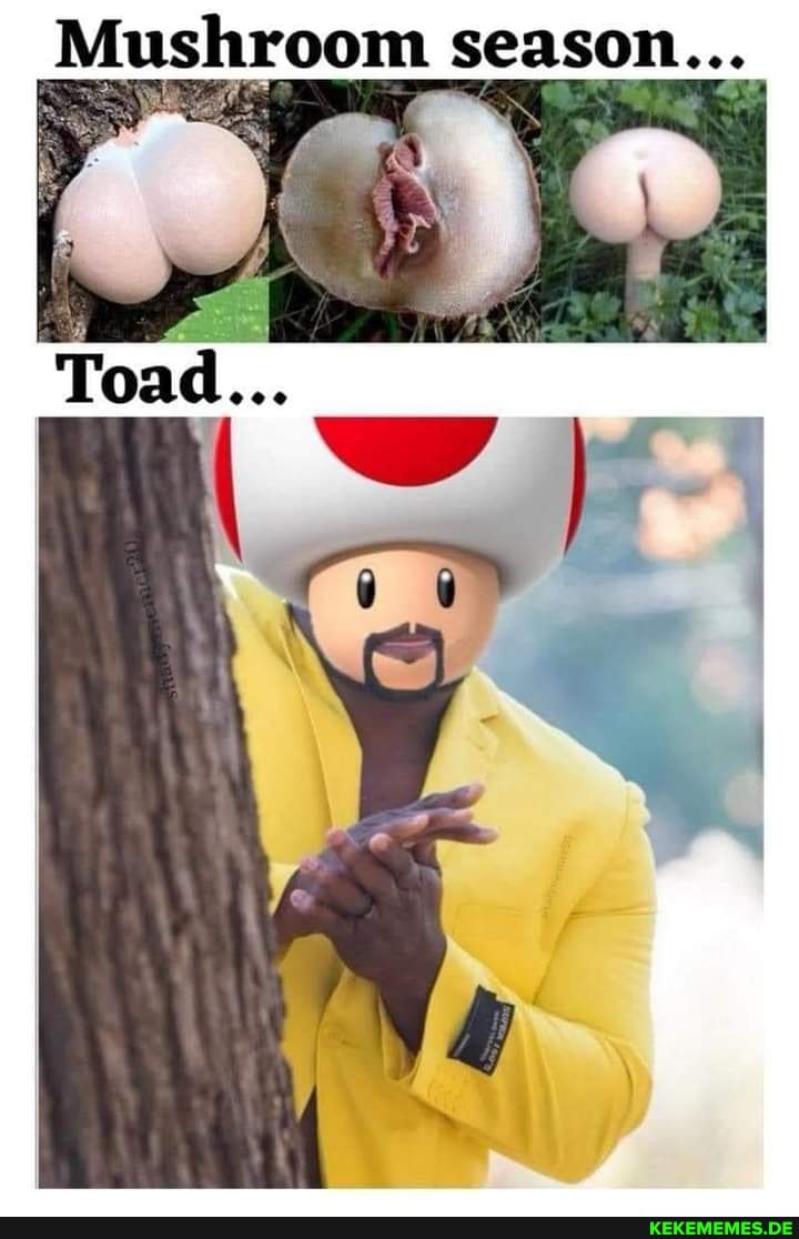 Mushroom season...
Toad...
I wy
- 4}