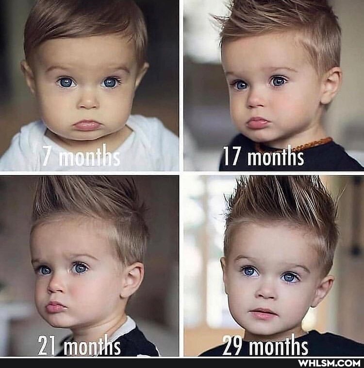 7 months 17 months