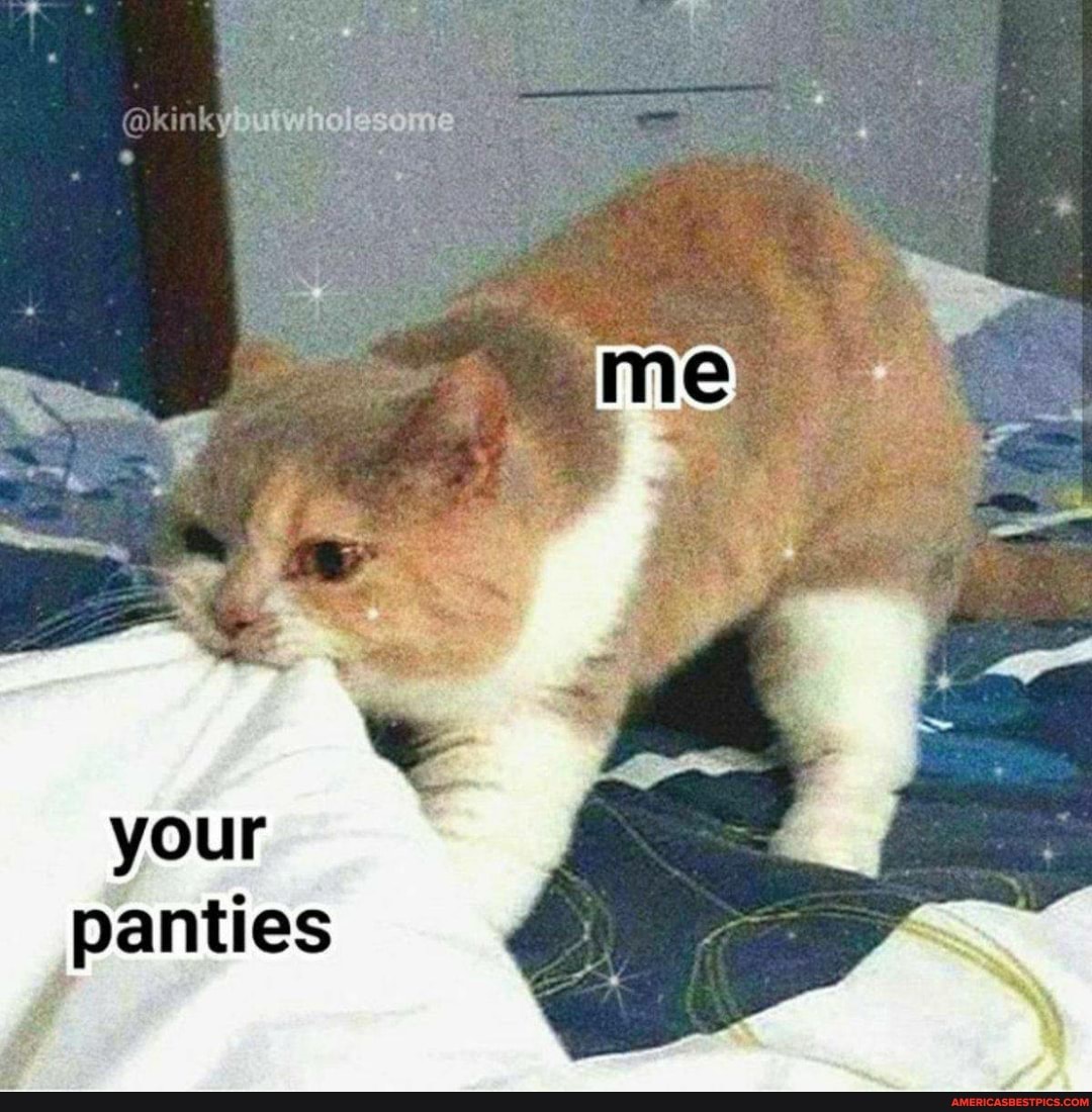 @kinky
me
your
panties
ff