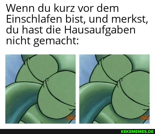 Wenn du kurz vor dem
Einschlafen bist, und merkst, du hast die Hausaufgaben nicht gemacht: