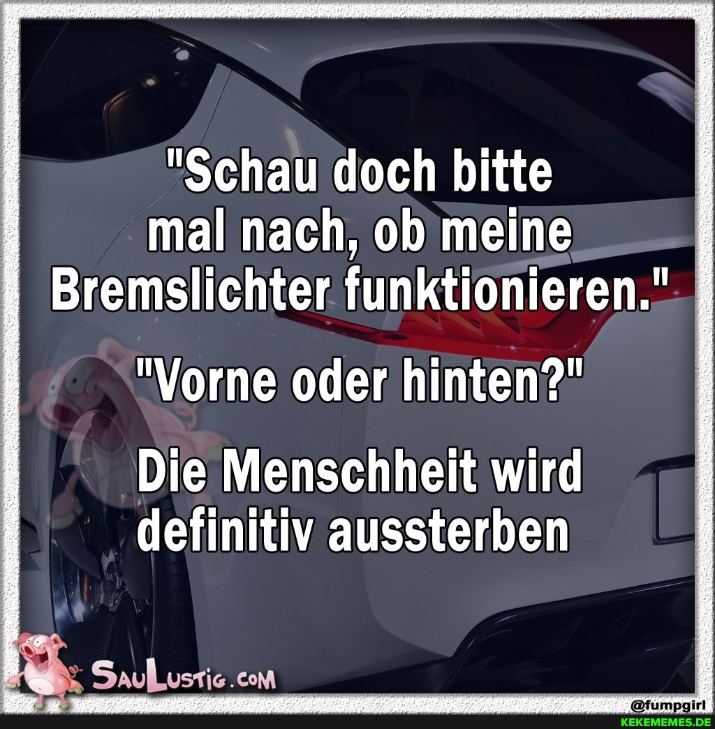 "Schau doch bitte mal nach, ob meine
Bremslichter funktionieren."
"Vorne oder hinten?"
Die Menschheit wird definitiv aussterben