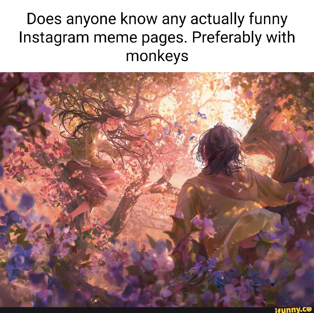 Does anyone know any actually funny Instagram meme pages. Preferably ...