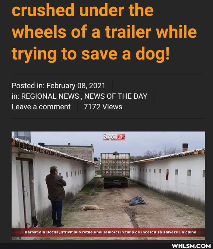 crushed under the wheels of a trailer while trying to save a dog!
Posted in: February 08, 2021
Leave comment 7172 Views in: REGIONAL NEWS , NEWS OF THE DAY
7172 Views
Barbat din Bocsa, strivit sub rotile remorci in timp ce incerca sa salveze un cai
Leave @ comment
