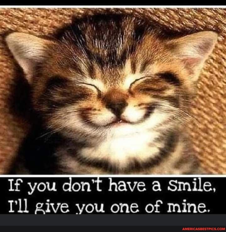 If you don't have a Smile,
Tll give you one of mine.