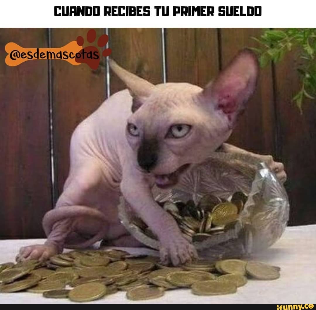 CUANDO RECIBES TU PRIMER SUELDO
