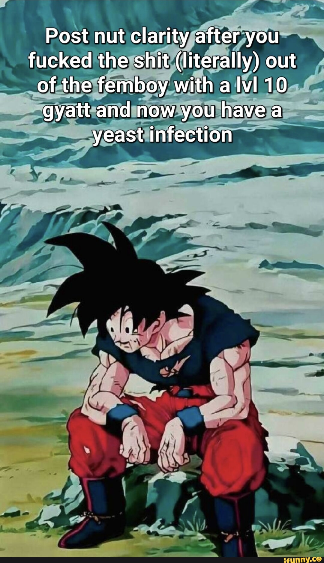 Post nut clarity after you fucked the shit (literally) out of the femboy  with a lvl 10 gyatt and now you have a yeast infection - iFunny