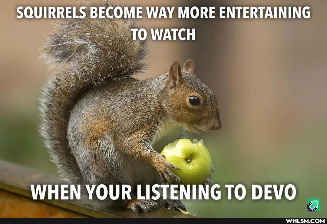 SQUIRRELS BECOME WAY MORE ENTERTAINING TO WATCH
WHEN YOUR LISTENING TO DEVO