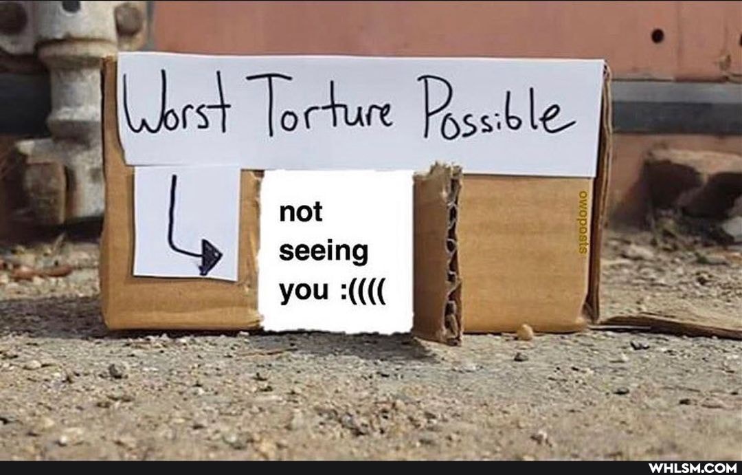 not
seeing
you