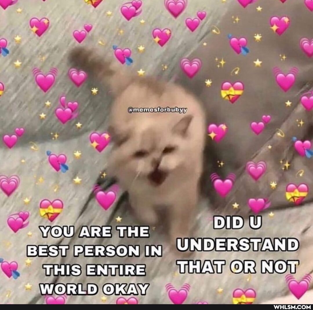 an
CO
WW
YOU ARE THE BID BEST PERSON IN UNDERSTAND
THIS ENTIRE THAT OR NOv
WORLD OKAY