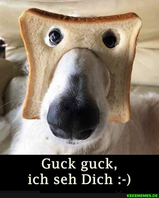 Guck guck, ich seh Dich