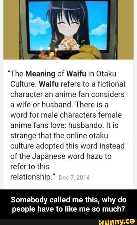 anime otaku husband