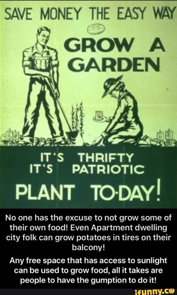 SAVE MONEY THE EASY WAY
THRIFTY
IT'S PATRIOTIC
PLANT TODAY!
No one has the excuse to not grow some of
their own food! Even Apartment dwelling
city folk can grow potatoes in tires on their
balcony!
Any free space that has access to sunlight
can be used to grow food, all it takes are
people to have the gumption to do it! - Any free space that has access to sunlight can be used to grow food, all it takes are people to have the gumption to do it!