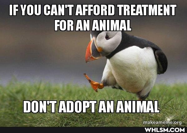IF YOU CAN'T AFFORD TREATMENT FOR AN ANIMAL
DON'T ADOPT AN ANIMAL