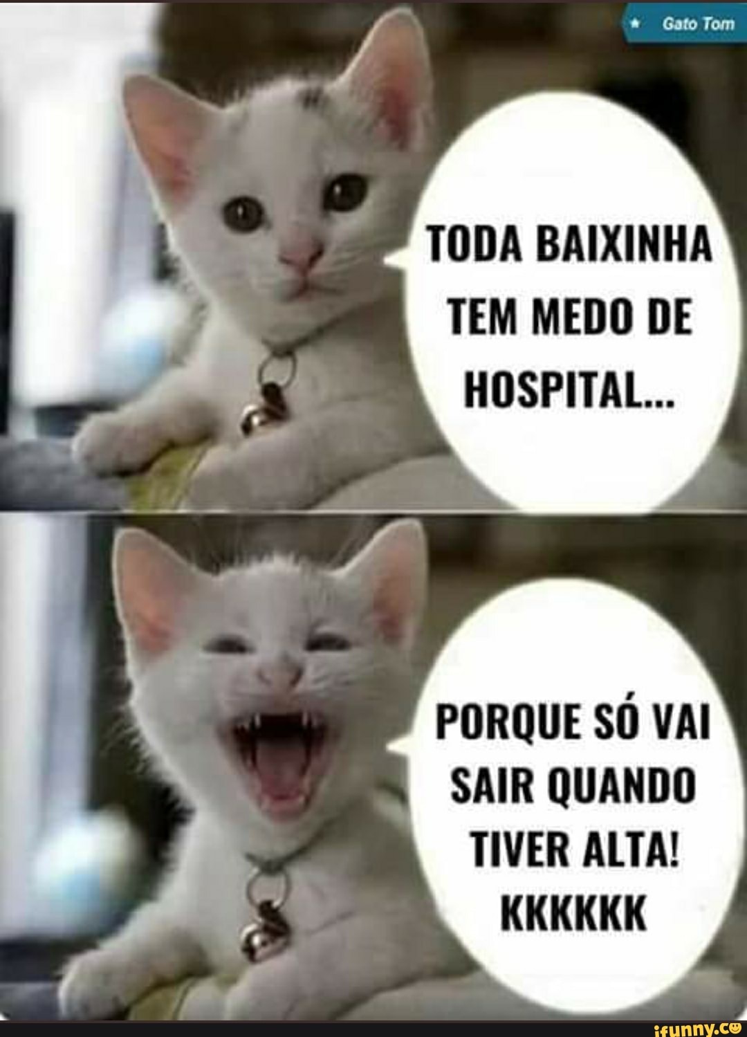 Tem
Gato
TODA BAIXINHA TEM MEDO DE HOSPITAL...
PORQUE SÓ VAI SAIR QUANDO TIVER ALTA!
KKKKKK