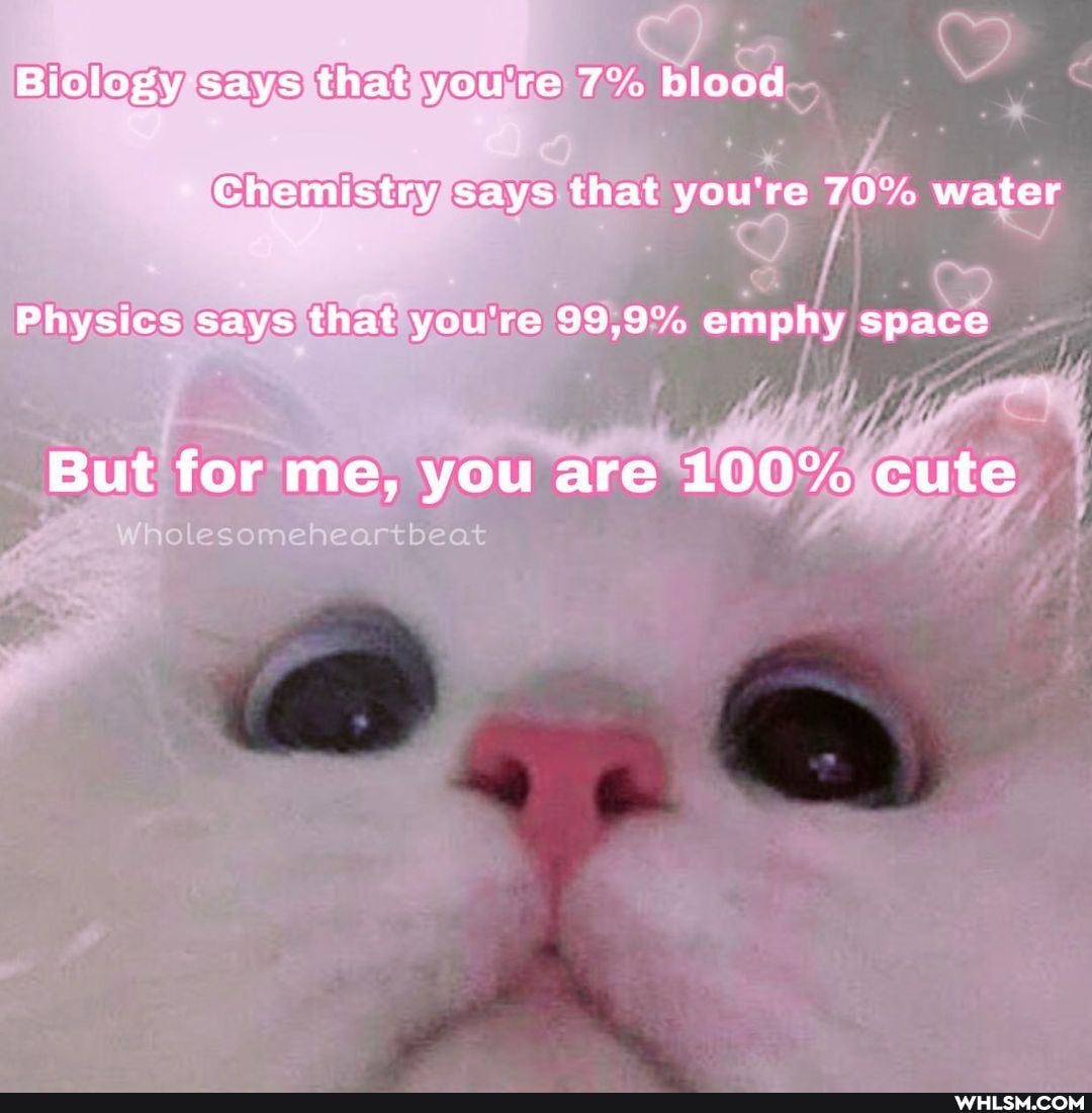 Biology says that you're 7% blood
Chemistry says that you're 70% water
Physics says that you're emphy space
But for me, you are LOO% cute