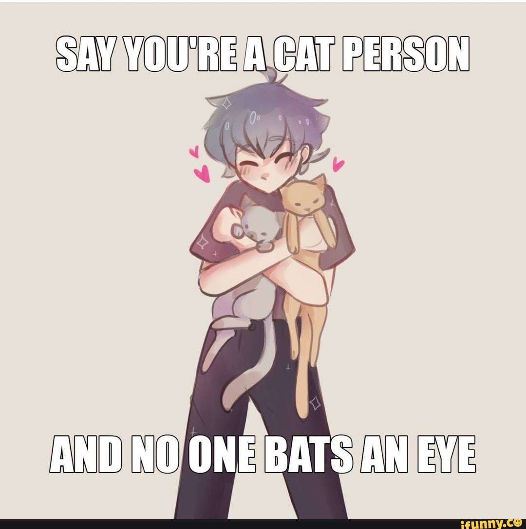 SAY YOU'RE A CAT PERSON AND NO ONE BATS AN EYE iFunny