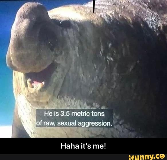 Haha it's me! - Haha it’s me!